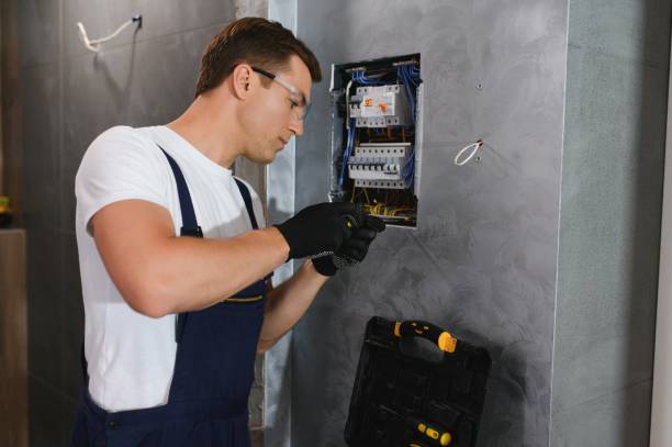 Best Ceiling Fan Installation Electrician  in Sauk City, WI